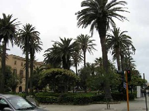 Visiting Trapani