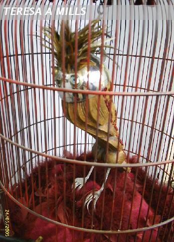 detail of kettle -head mother, showing 'polly'