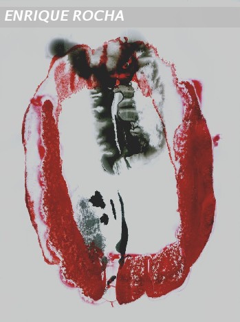 Rio del Consulado, por tus orillas vamos