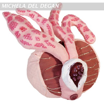 Pink Flesh / prostata