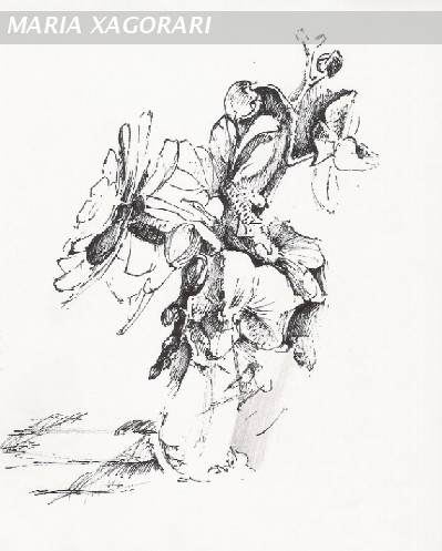 Drawing