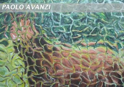 Cavallo nella prateria