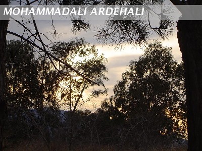 ARDEHALI(ART)