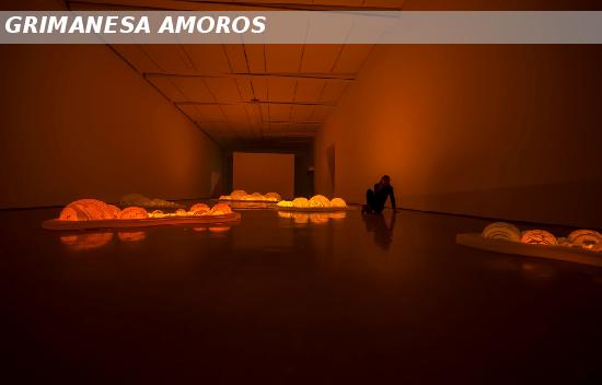 Light Between The Islands